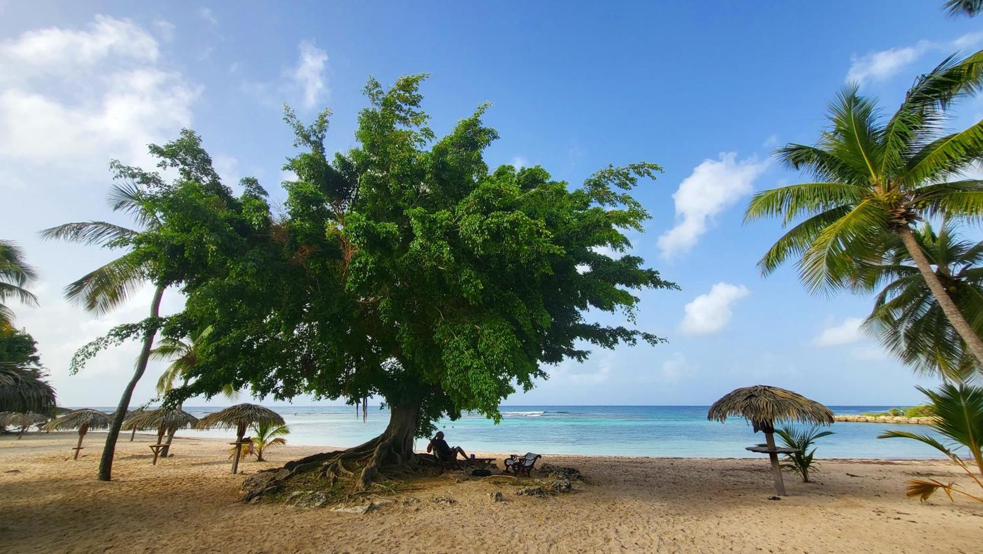 Kaz Lorike - Vue Mer & Piscine Exceptionnelle - Anse Des Rochers Saint-Francois  Exterior foto